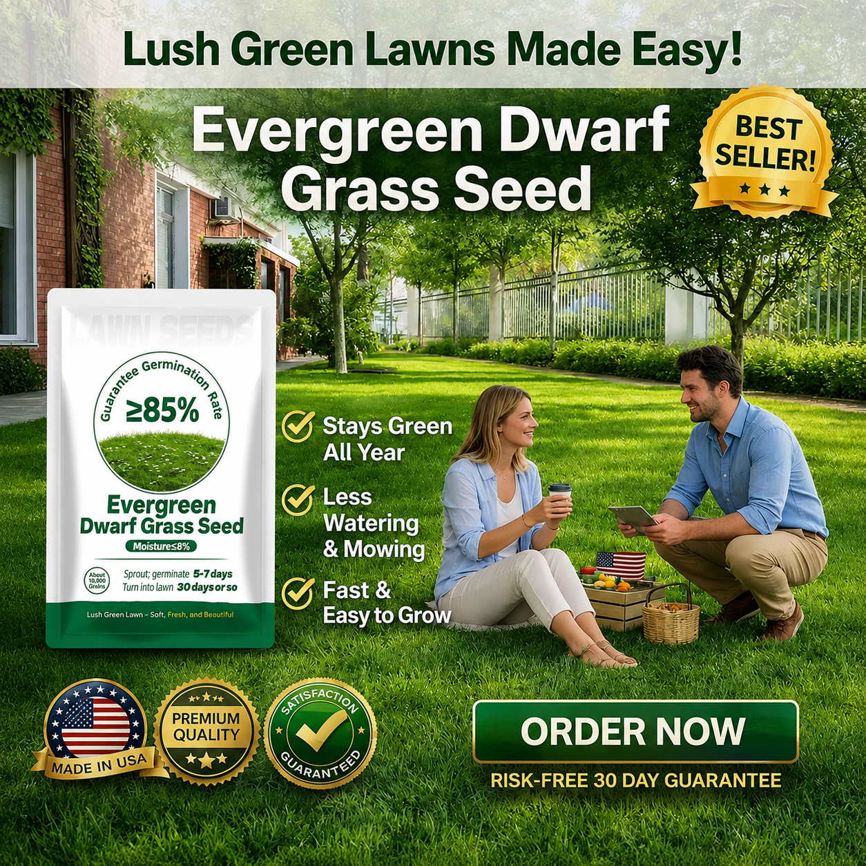 🔥Last Day Promotion 49% OFF🔥💚2026 Evergreen Dwarf Grass Seed for Four Seasons| Durable, Vibrant Green All Year