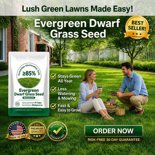 🔥Last Day Promotion 49% OFF🔥💚2026 Evergreen Dwarf Grass Seed for Four Seasons| Durable, Vibrant Green All Year